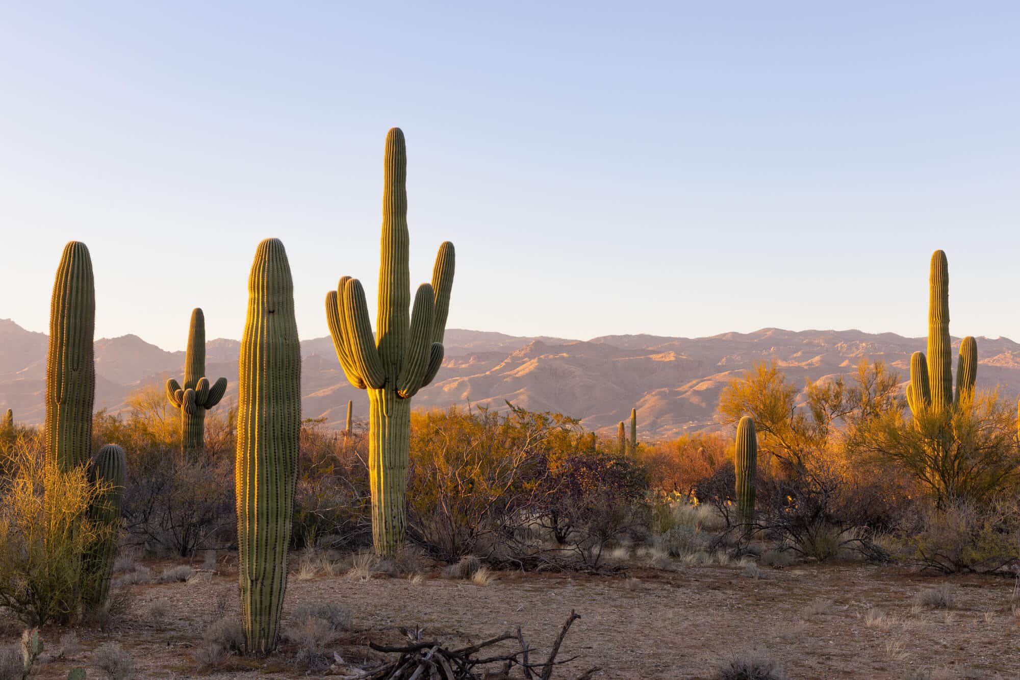 bellacapri-exterior-tucson-az-2