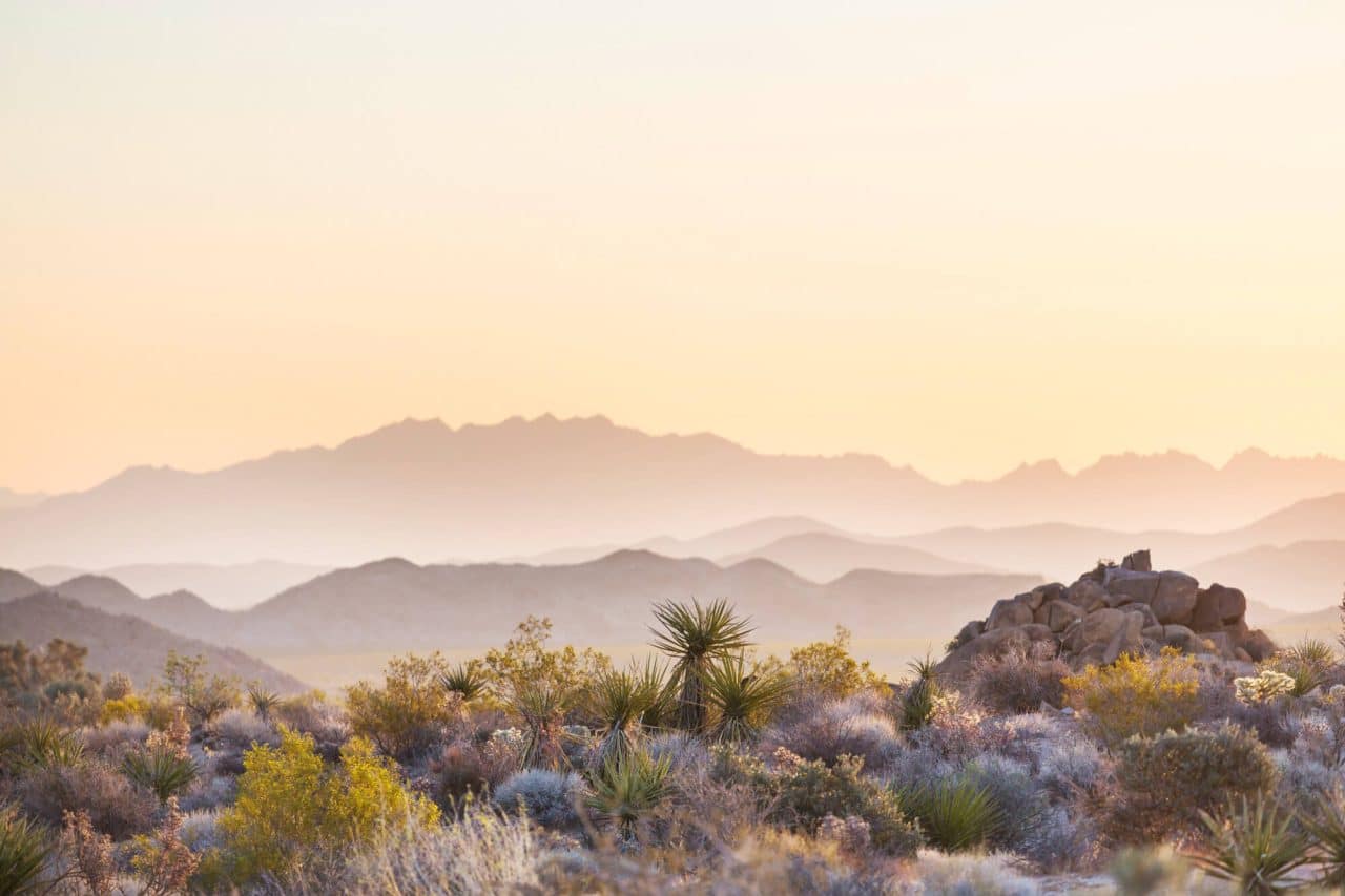 bellacapri-exterior-tucson-az-3