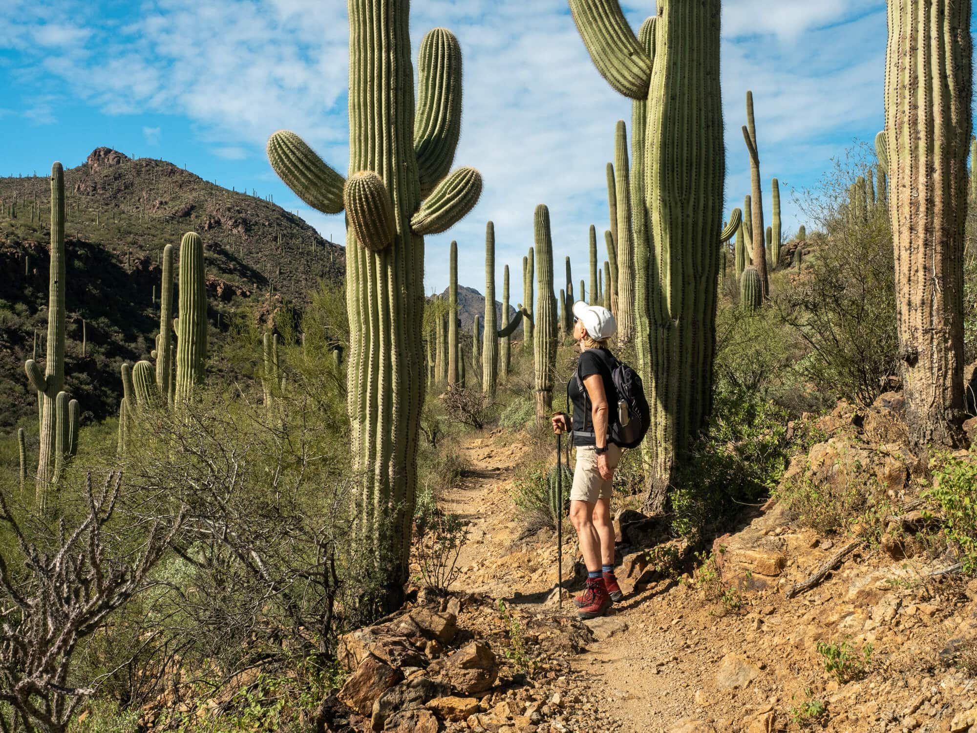 bellacapri-residents-in-tucson-az-2